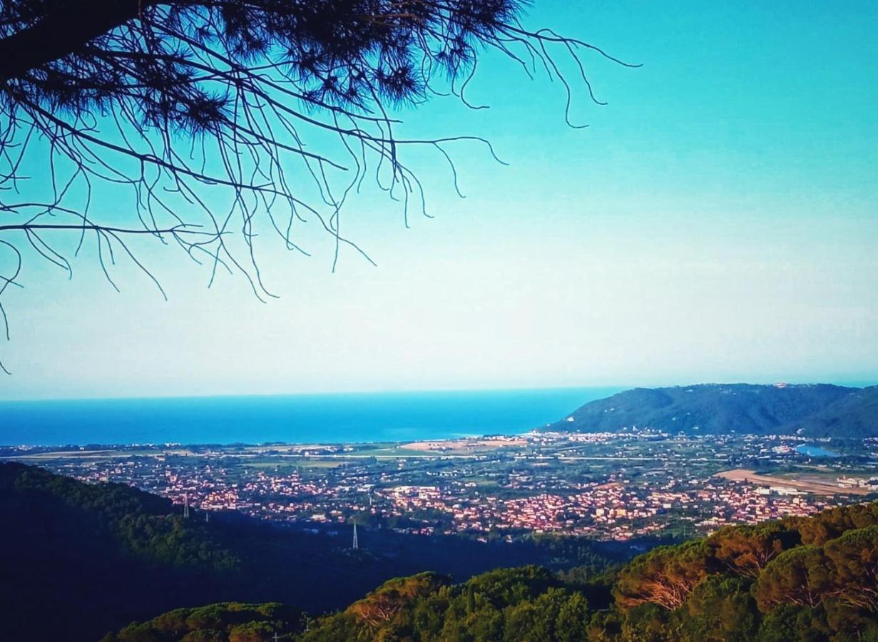 La Ginestra B&B Fosdinovo Dış mekan fotoğraf