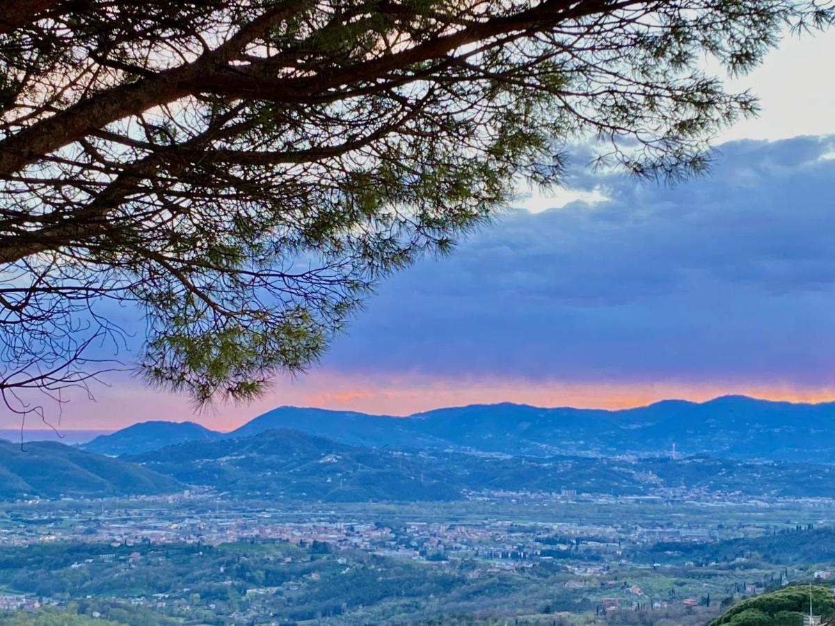 La Ginestra B&B Fosdinovo Dış mekan fotoğraf