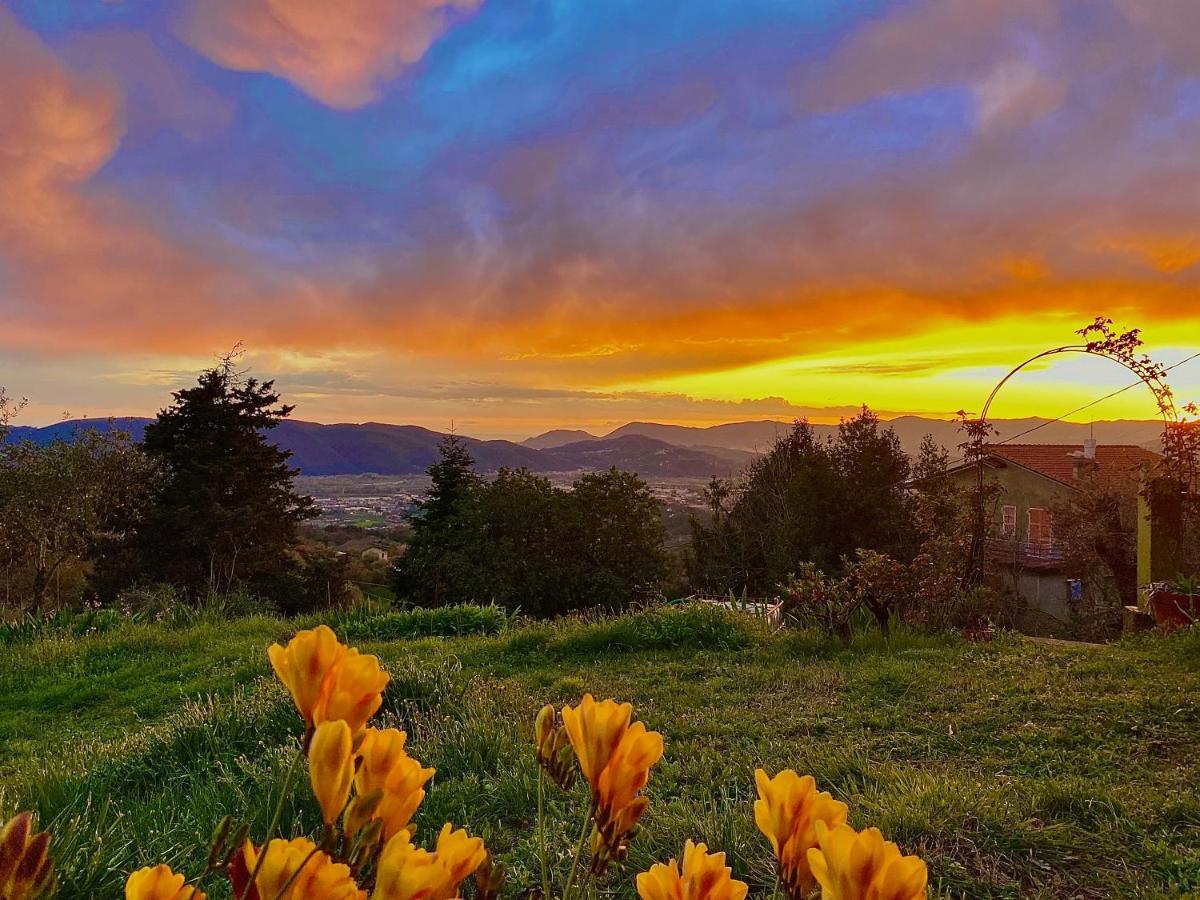 La Ginestra B&B Fosdinovo Dış mekan fotoğraf