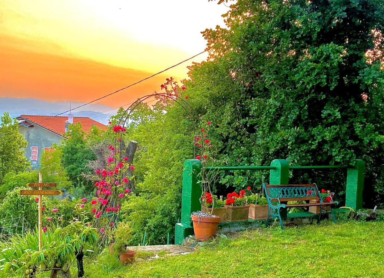 La Ginestra B&B Fosdinovo Dış mekan fotoğraf