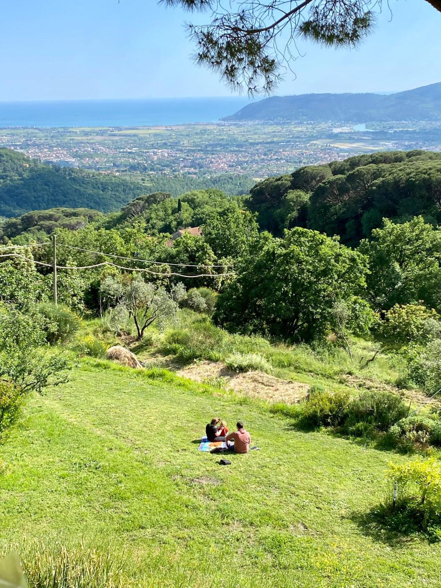 La Ginestra B&B Fosdinovo Dış mekan fotoğraf